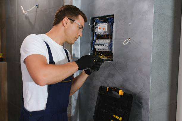 Best Electrical System Inspection  in Aspen, CO